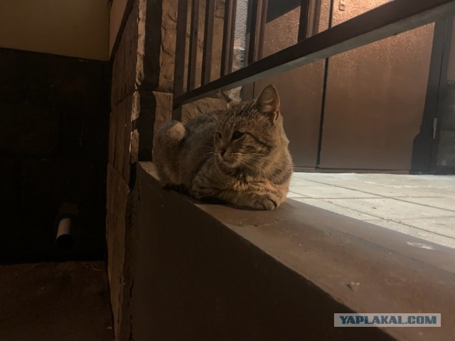 Вот и я стал рабом