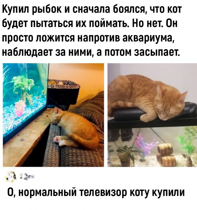 Так себе картинки 11.09.23