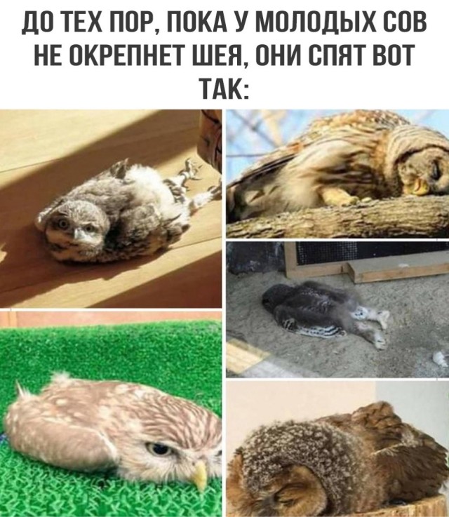 Всяко-разно