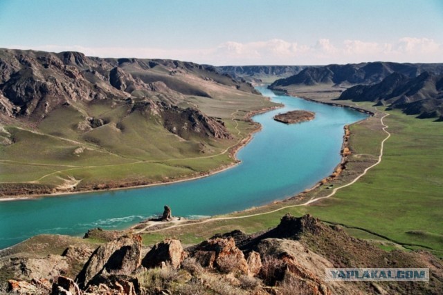 Красивые фото ЯПа