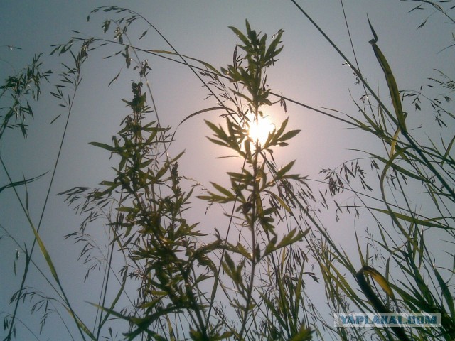 Почистил телефон