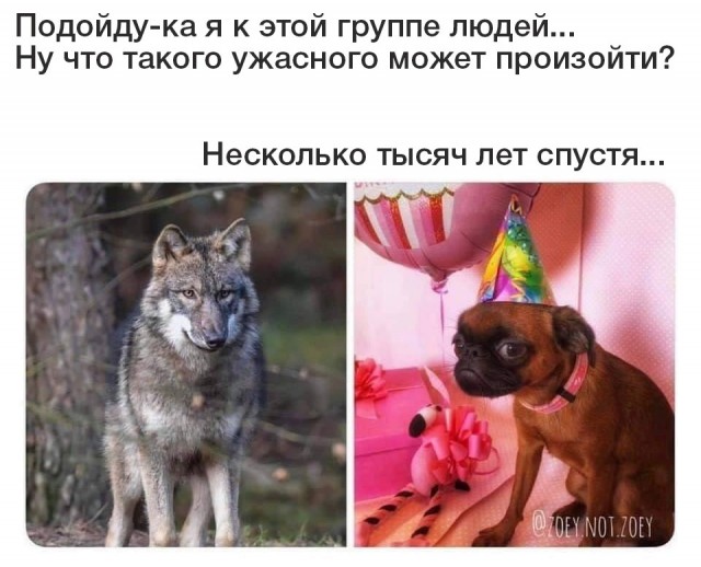 Просто зверюга
