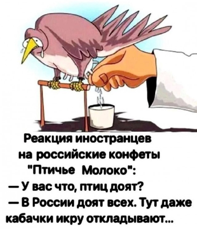 Весёлый полтишок 13.03.24