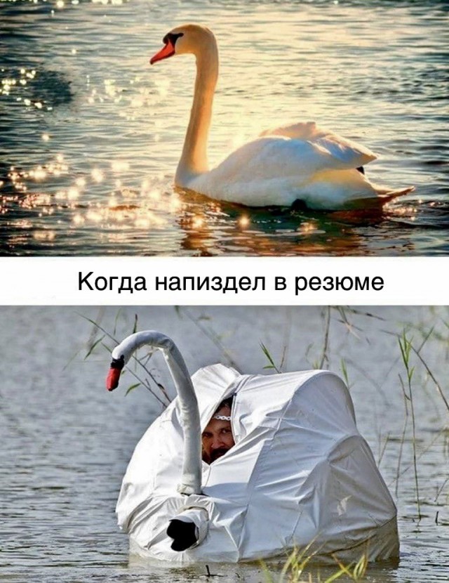 Всего понемногу. От 12.04.2024