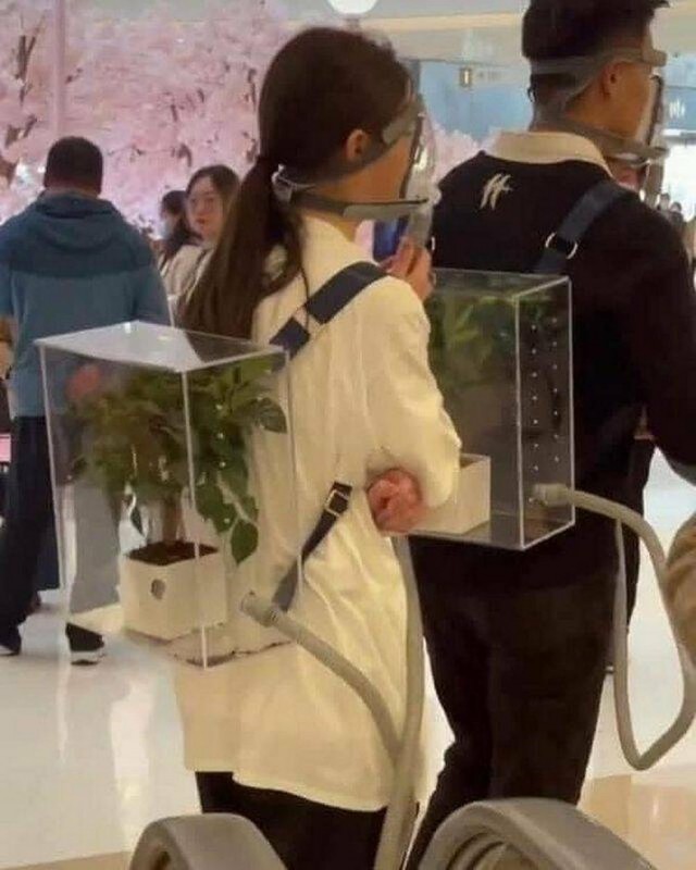 ФотоВинегрет