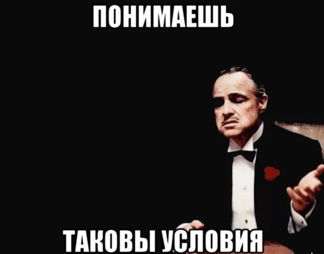Отчитала полицейских, припарковавшихся на газоне.