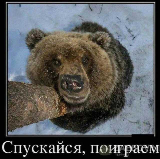 Иди сюда, чё-то спрошу