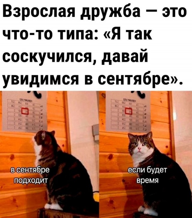 Завалялось тут случайно немного забавных картинок