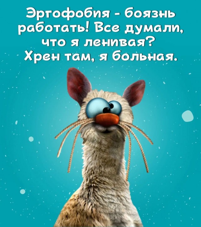 Так себе картинки 07.08.24