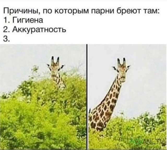 Как порно волосатость отменило⁠⁠