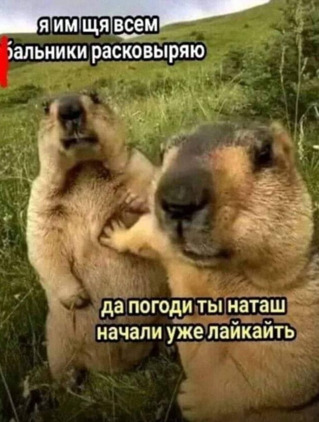 Веселые картинки в пятницу (10.01)