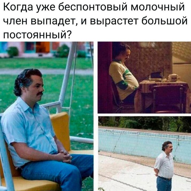 Весёлый полтишок 08.07.25