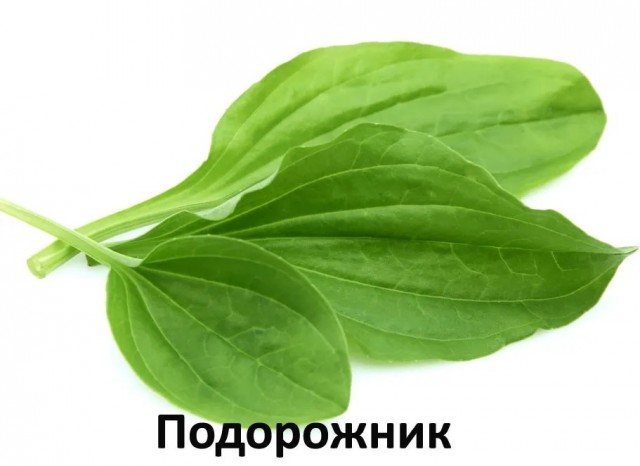 Миллиарды рублей на неэффективные лекарства