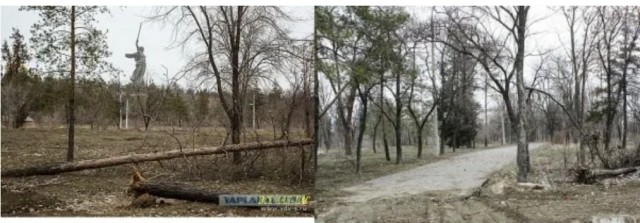 Зелёный Воронеж