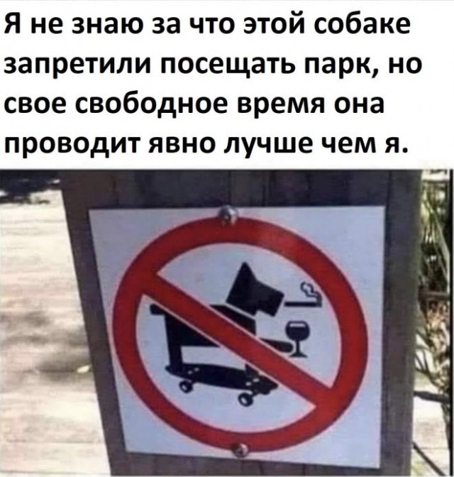 Веселые картинки в пятницу (15.08)