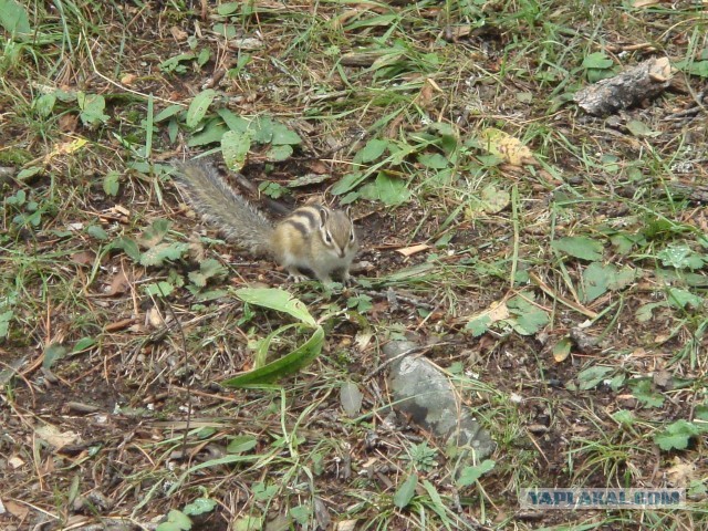 Затерянный уголок России.