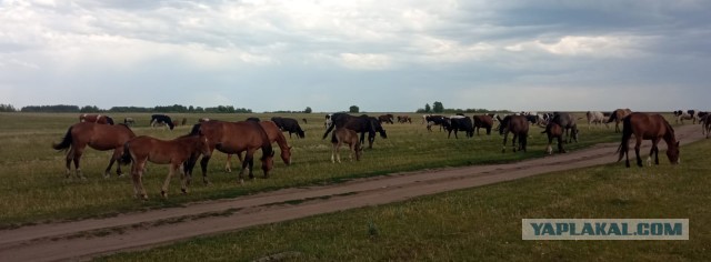 Пока отдыхаете, можно и поностальгировать!
