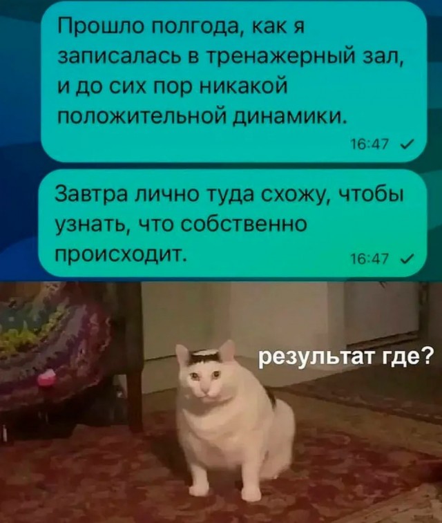 Ассорти картинок