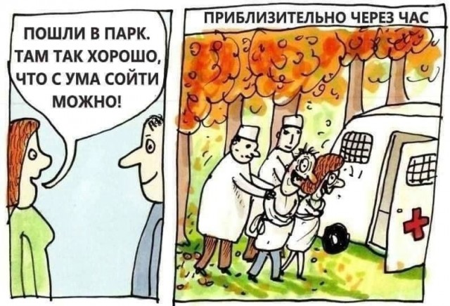 Прикольные и просто красивые картинки 09.12.2025