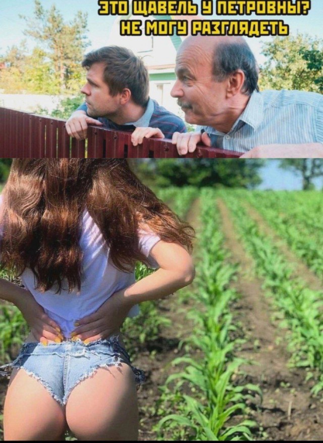 Забавные и не очень скромные картинки - 20