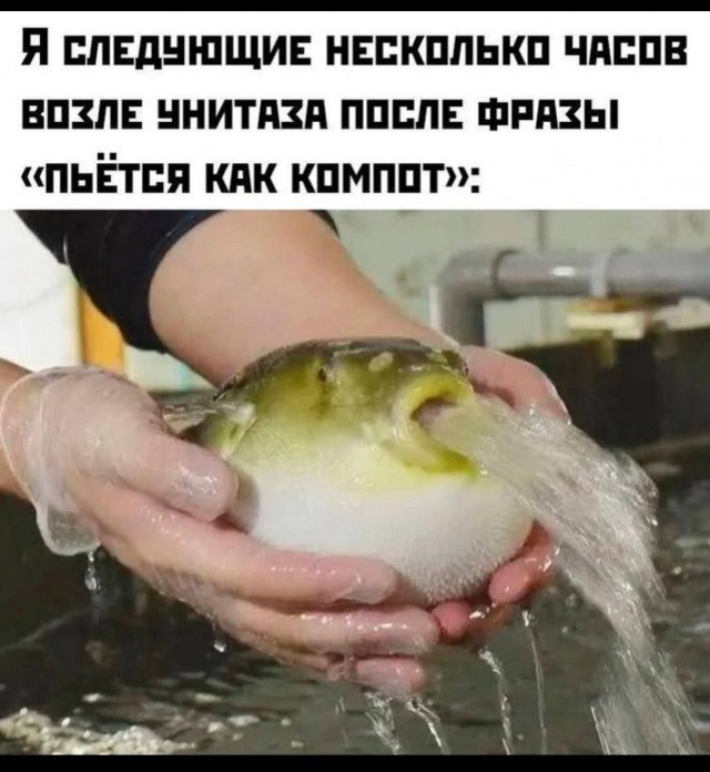 Веселые картинки в понедельник (12.01)
