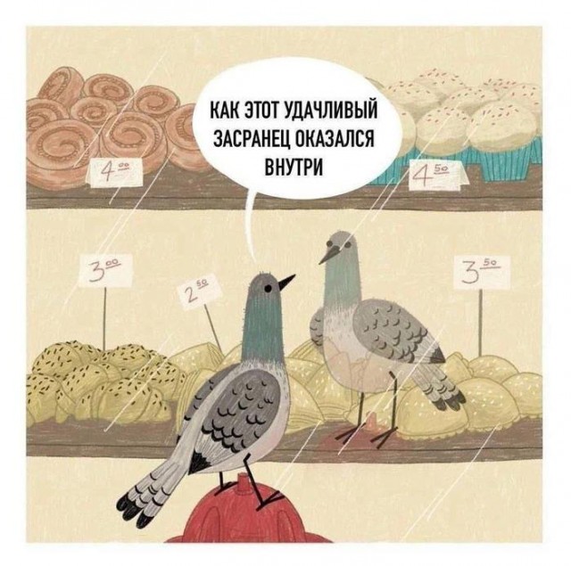 Картинки для деградации 124 (разной степени свежести)
