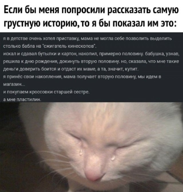 Так себе картинки 10.02.26