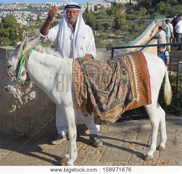 Бомбоубежища в Дубае сейчас⁠⁠