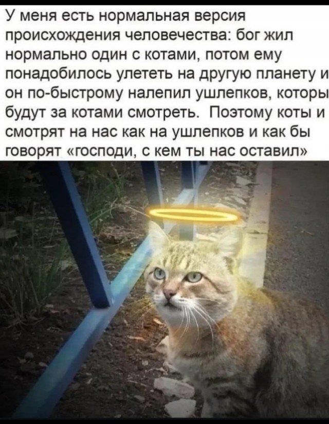 Пост о *непечатно*