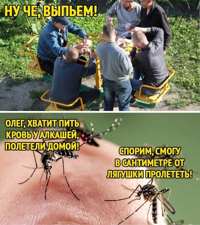 Воскресные картинки