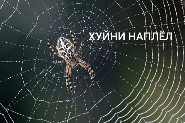 Барон Мюнхгаузен просто курит