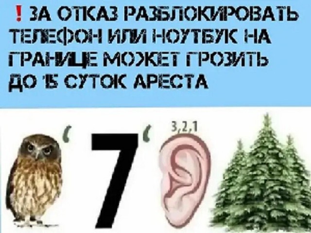 Так себе картинки 11.07.26