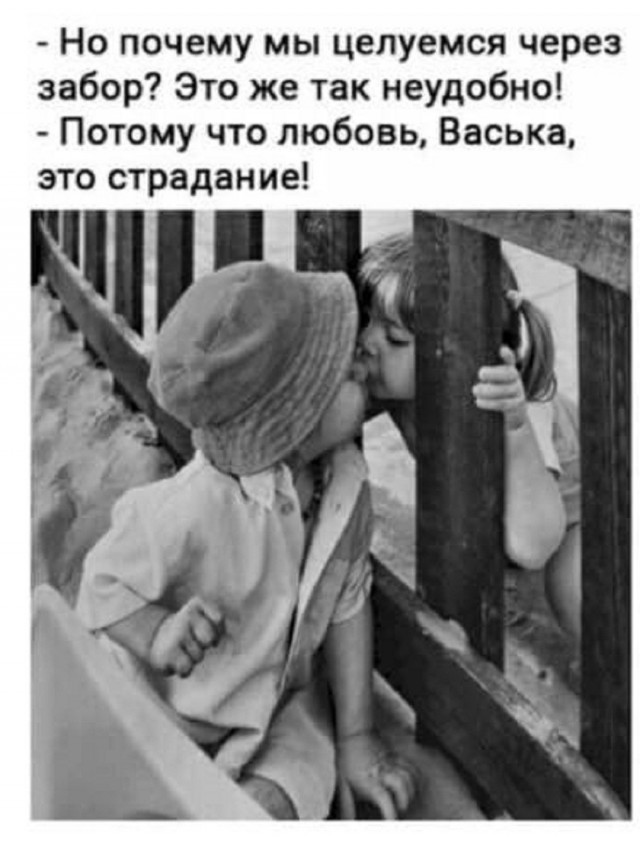 Так себе картинки 25.08.26