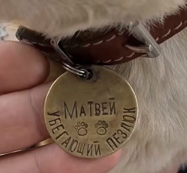 Картинки для деградации 293 (разной степени свежести)