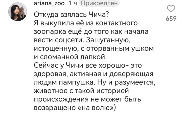 *БАЯН*Водные процедуры Чичи