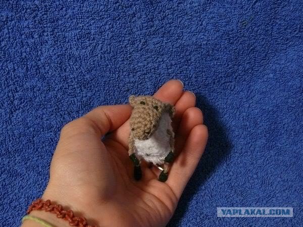 Про сонных овечек