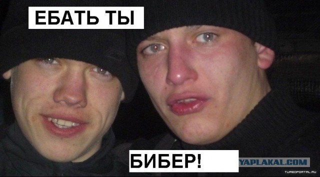 Фанаты совсем умом тронулись