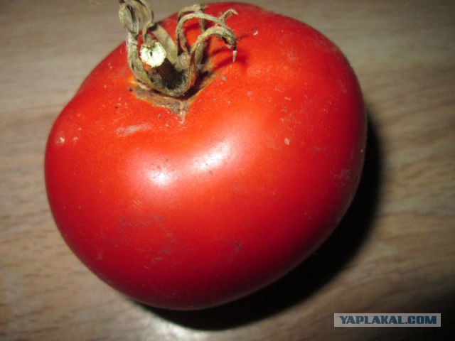 УкрСМИ в шоке