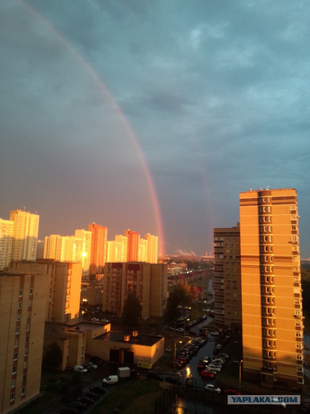 Последнее фото с Вашего телефона.