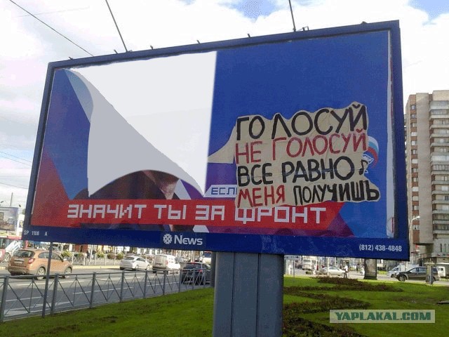 Голосуй, не голосуй