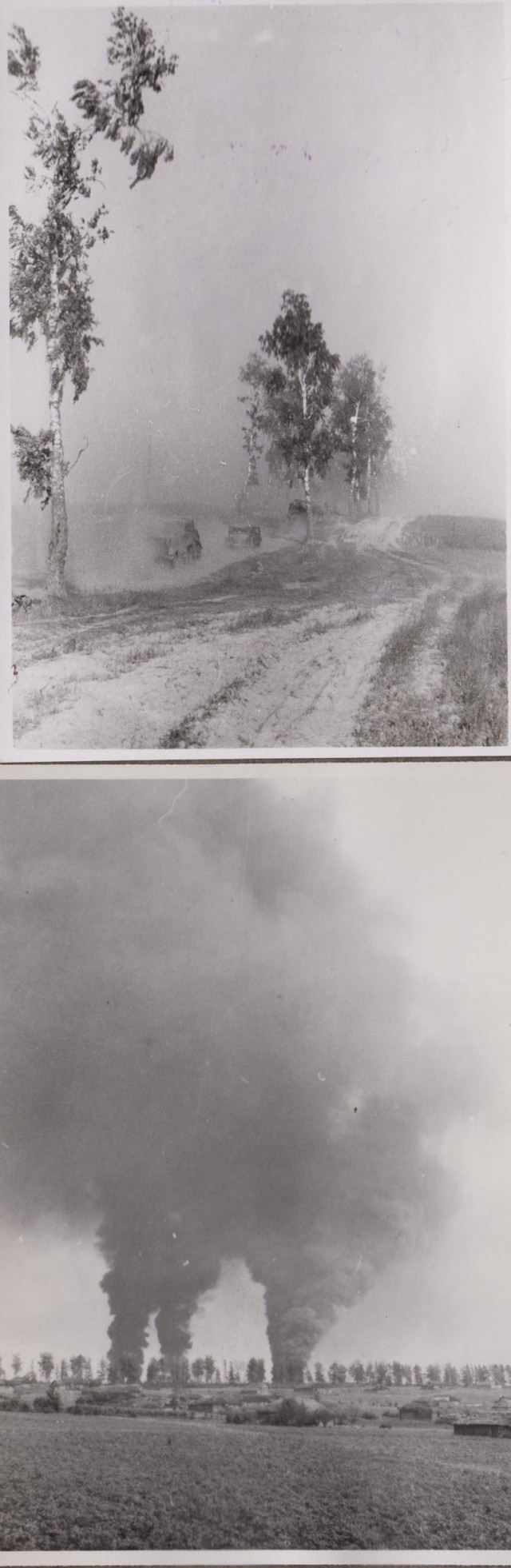 Лето 1941 года.
