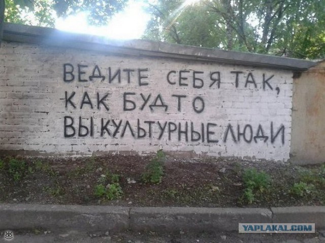 Картинок пачка