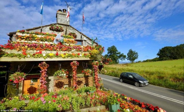 Любительница цветов и ее дом-оранжерея