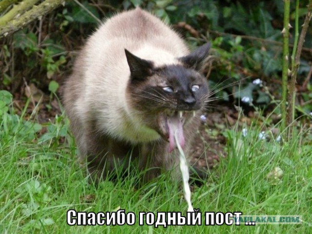 Энгдаль: рубль и юань подорвут доллар