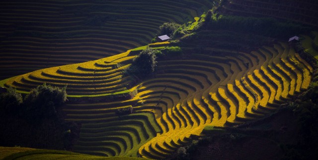 2015 National Geographic Photo Contest