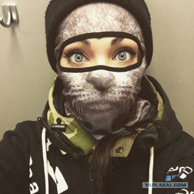 Подборка веселых картинок