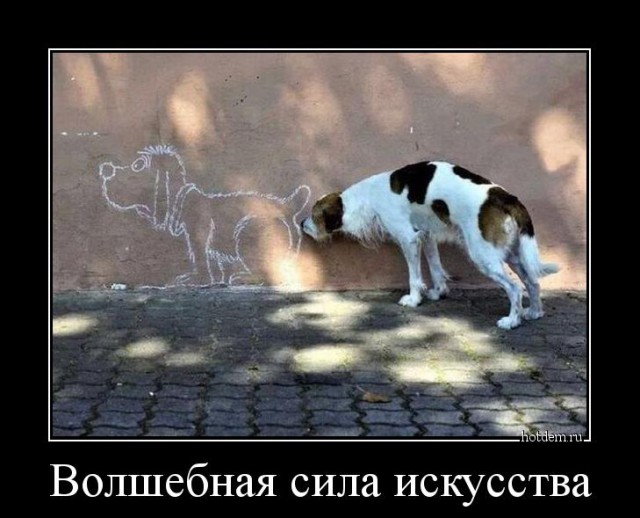 Демы без Темы