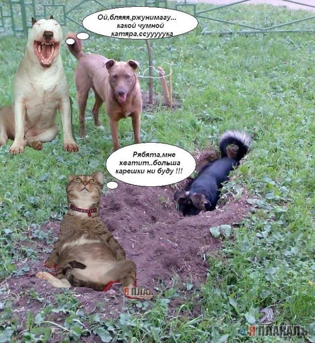 Фотожаба: да здесь где-то недалеко!