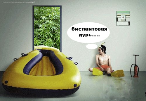 Фотожаба: Несостоявшееся плавание