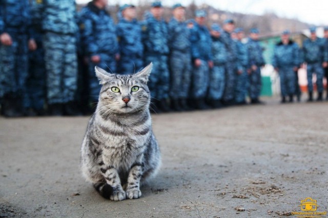 Подборка "тёплых, уютных, домашних" фотографий. Часть 9